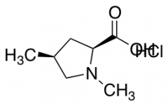 (2S,4S)-1,4-Dimethylpyrrolidine-2-carboxylic acid hydrochloride