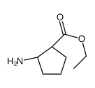 Ethyl (1R,2S)-2-aminocyclopentanecarboxylate