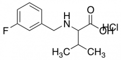 2-{[(3-fluorophenyl)methyl]amino}-3-methylbutanoic acid hydrochloride