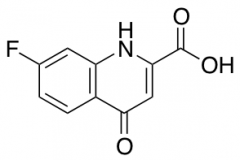 7-fluoro-4-oxo-1,4-dihydroquinoline-2-carboxylic acid