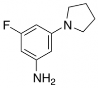 3-fluoro-5-(pyrrolidin-1-yl)aniline