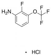 2-Fluoro-3-(trifluoromethoxy)aniline hydrochloride