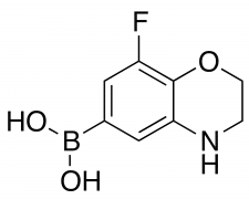 8-Fluoro-2,3-dihydro-1,4-benzoxazine-6-boronic acid
