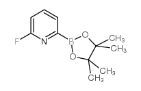 6-Fluoropyridine-2-boronic acid pinacol ester