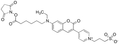 Fluorescent Red Mega 485 NHS-ester