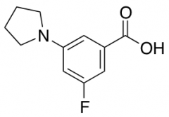 3-Fluoro-5-pyrrolidin-1-ylbenzoic Acid