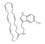 Eicosapentaenoyl Serotonin