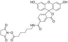 6-(Fluorescein-5-carboxamido)hexanoic Acid Succinimidyl Ester (&gt;90%)