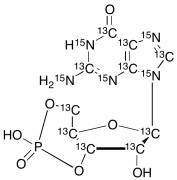 Guanosine 3&rsquo;,5&rsquo;-Cyclic-13C10, 15N5 Monophosphate