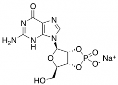 Guanosine 2',3'-Cyclic Monophosphate Sodium Salt