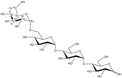 6-&alpha;-D-Glucopyranosyl Maltotriose-13C6