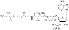 3-Hydroxyisobutyryl CoA