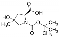 (2s)-4-Hydroxy-4-Methyl-1-[(2-Methylpropan-2-Yl)Oxycarbonyl]Pyrrolidine-2-Carboxylic Acid
