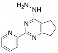 2-{4-hydrazinyl-5H,6H,7H-cyclopenta[d]pyrimidin-2-yl}pyridine