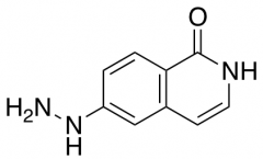 6-hydrazinyl-1,2-dihydroisoquinolin-1-one