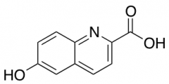 6-hydroxyquinoline-2-carboxylic acid