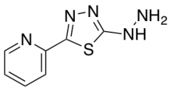 2-(5-hydrazinyl-1,3,4-thiadiazol-2-yl)pyridine