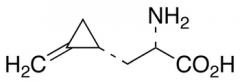 (S)-Hypoglycine A, 85%