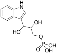Indole-3-glycerol Phosphate
