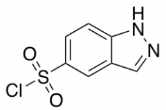 1H-Indazole-5-sulfonyl chloride