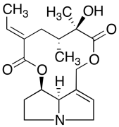 Integerrimine