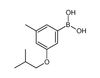 3-Isobutoxy-5-methylphenylboronic acid
