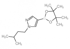 1-Isopentylpyrazole-4-boronic acid, pinacol ester