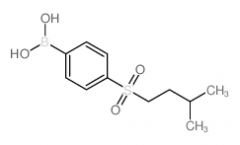 4-(Isopentylsulfonyl)phenylboronic acid