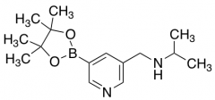 Isopropyl-[5-(4,4,5,5-tetramethyl-[1,3,2]dioxaborolan-2-yl)-pyridin-3-ylmethyl]-amine