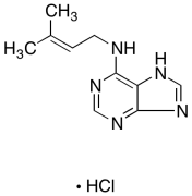 N6-Isopentenyladenine Hydrochloride