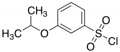 3-Isopropoxy-benzenesulfonyl Chloride