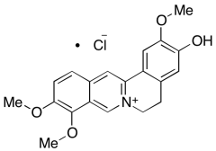 Jatrorrhizine Chloride
