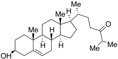 24-Ketocholesterol