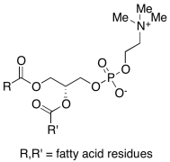 Lecithin (Technical Grade)