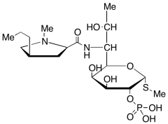 Lincomycin 2-Phosphate