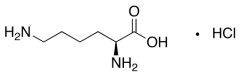 L-Lysine Hydrochloride