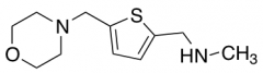 N-Methyl-[5-(morpholinomethyl)thien-2-ylmethyl]amine
