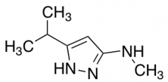 N-methyl-5-(propan-2-yl)-1H-pyrazol-3-amine