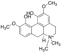 Magnoflorine Hydroxide
