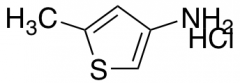 5-Methylthiophen-3-amine Hydrochloride