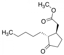 Methyl Dihydrojasmonate