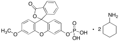 3-O-Methylfluorescein Phosphate Bis-Cyclohexylammonium Salt