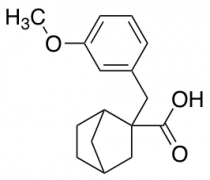 2-[(3-methoxyphenyl)methyl]bicyclo[2.2.1]heptane-2-carboxylic acid