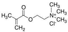 [2-(Methacryloyloxy)ethyl]trimethylammonium Chloride, 72% solution in H2O, stabilized