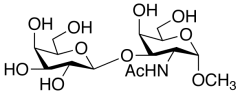 Methyl 2-Acetamido-2-Deoxy-3-O-(b-D-Galactopyranosyl)-&alpha;-D-Galactopyranoside
