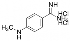 4-(methylamino)benzene-1-carboximidamide dihydrochloride