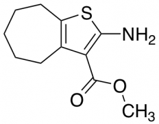 methyl 2-amino-5,6,7,8-tetrahydro-4H-cyclohepta[b]thiophene-3-carboxylate