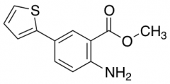 Methyl 2-Amino-5-(thiophen-2-yl)benzoate