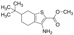 Methyl 3-Amino-6-tert-butyl-4,5,6,7-tetrahydro-1-benzothiophene-2-carboxylate