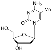 5-Methyl-2&rsquo;-deoxy Cytidine